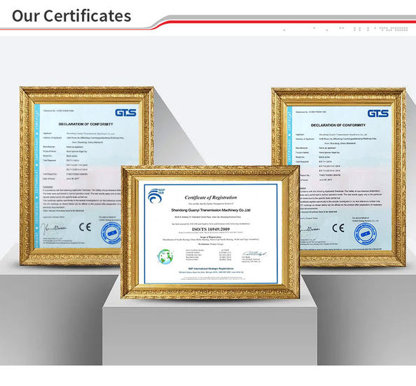 ประเทศจีน Guanyi Transmission Machinery Co., Ltd. รับรอง